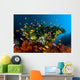 Reef Scene with Anthias Wall Decal