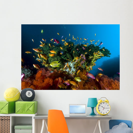 Reef Scene with Anthias Wall Decal