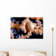 Denise Pygmy Seahorse Cebu Wall Decal