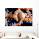 Denise Pygmy Seahorse Cebu Wall Decal
