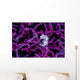 Pregnant Pygmy Seahorse Environment Wall Decal