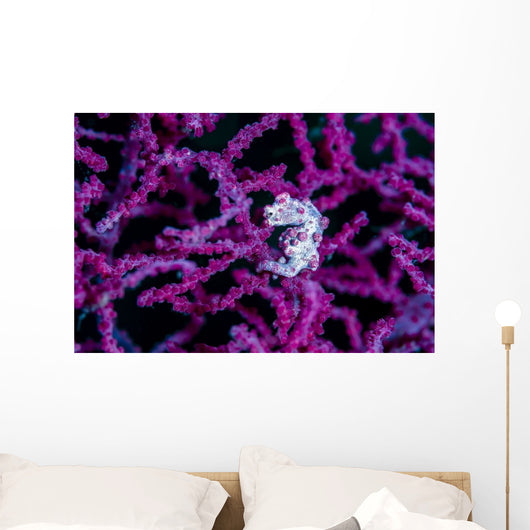 Pregnant Pygmy Seahorse Environment Wall Decal