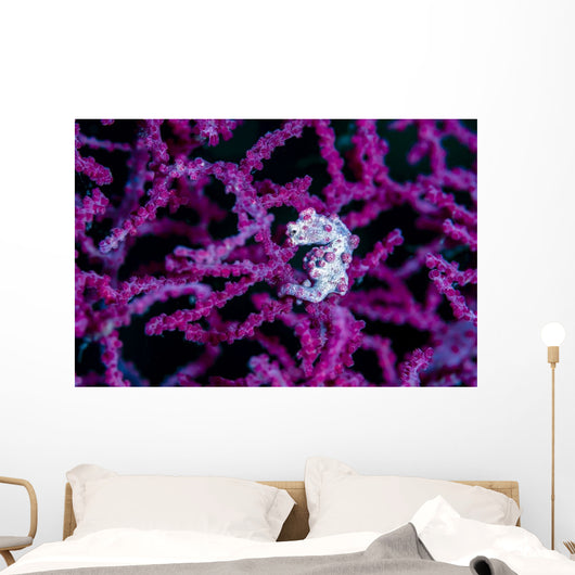 Pregnant Pygmy Seahorse Environment Wall Decal