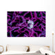 Pregnant Pygmy Seahorse Environment Wall Decal