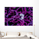 Pregnant Pygmy Seahorse Environment Wall Decal