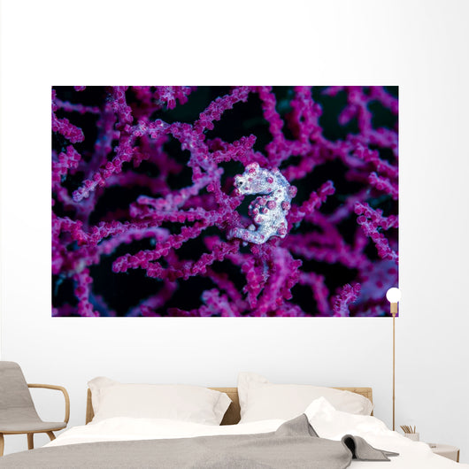 Pregnant Pygmy Seahorse Environment Wall Decal