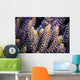 Close-up Coral Bohol Sea Wall Decal