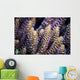 Close-up Coral Bohol Sea Wall Decal