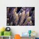 Close-up Coral Bohol Sea Wall Decal