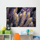 Close-up Coral Bohol Sea Wall Decal