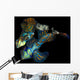 Pair Mandarinfish Synchiropus Splendidus Wall Decal