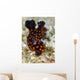Undescribed Nembrotha Nudibranch Bohol Wall Decal
