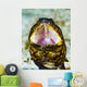 Yawning Napoleon Snake Eel Wall Decal