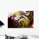 Brook's Urchin Shrimp Bohol Wall Decal
