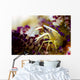 Brook's Urchin Shrimp Bohol Wall Decal