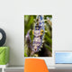 Headshot Filefish Bohol Sea Wall Decal
