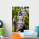 Headshot Filefish Bohol Sea Wall Decal