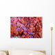 Sea Anemone Bohol Sea Wall Decal