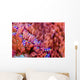 Sea Anemone Bohol Sea Wall Decal