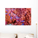 Sea Anemone Bohol Sea Wall Decal