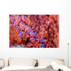 Sea Anemone Bohol Sea Wall Decal