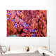 Sea Anemone Bohol Sea Wall Decal
