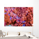 Sea Anemone Bohol Sea Wall Decal