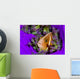 Pink Anemonefish with Sarasvati Wall Decal