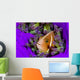 Pink Anemonefish with Sarasvati Wall Decal