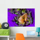 Pink Anemonefish with Sarasvati Wall Decal