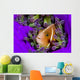 Pink Anemonefish with Sarasvati Wall Decal
