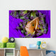 Pink Anemonefish with Sarasvati Wall Decal