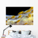 Sponge Isopods Bohol Sea Wall Decal