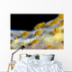 Sponge Isopods Bohol Sea Wall Decal