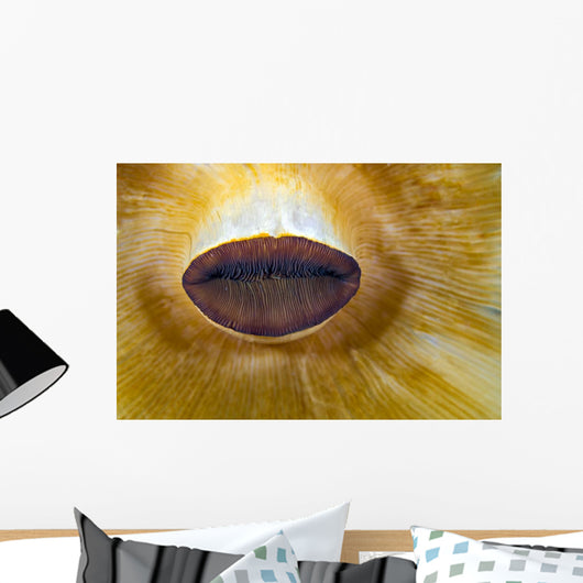 Anemone Lips Bohol Sea Wall Decal