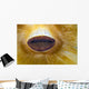 Anemone Lips Bohol Sea Wall Decal