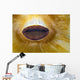 Anemone Lips Bohol Sea Wall Decal