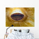 Anemone Lips Bohol Sea Wall Decal