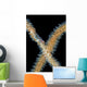 Goby Whip Coral Bohol Wall Decal