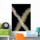 Goby Whip Coral Bohol Wall Decal
