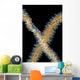 Goby Whip Coral Bohol Wall Decal