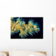Beautiful Tiger Anemone Colony Wall Decal