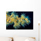 Beautiful Tiger Anemone Colony Wall Decal