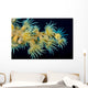 Beautiful Tiger Anemone Colony Wall Decal