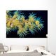 Beautiful Tiger Anemone Colony Wall Decal