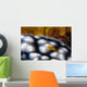 Sponge Isopod Nudibranch Bohol Wall Decal
