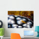 Sponge Isopod Nudibranch Bohol Wall Decal