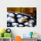 Sponge Isopod Nudibranch Bohol Wall Decal