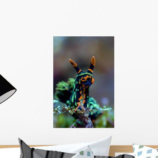 Searching Nembrotha Nudibranch Bohol Wall Decal