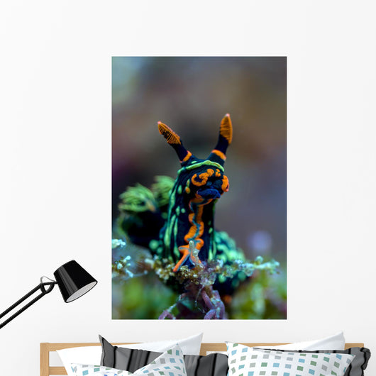 Searching Nembrotha Nudibranch Bohol Wall Decal
